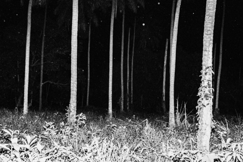 Eclipse – Daniel Huete