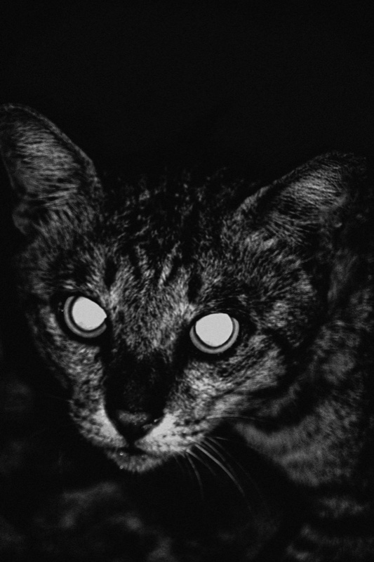 Eclipse – Daniel Huete