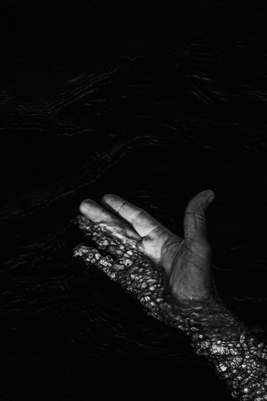 Eclipse – Daniel Huete