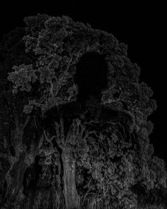 El hombre que muere – Daniel Huete