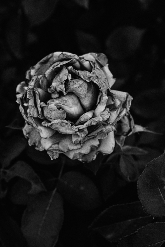 El hombre que muere – Daniel Huete
