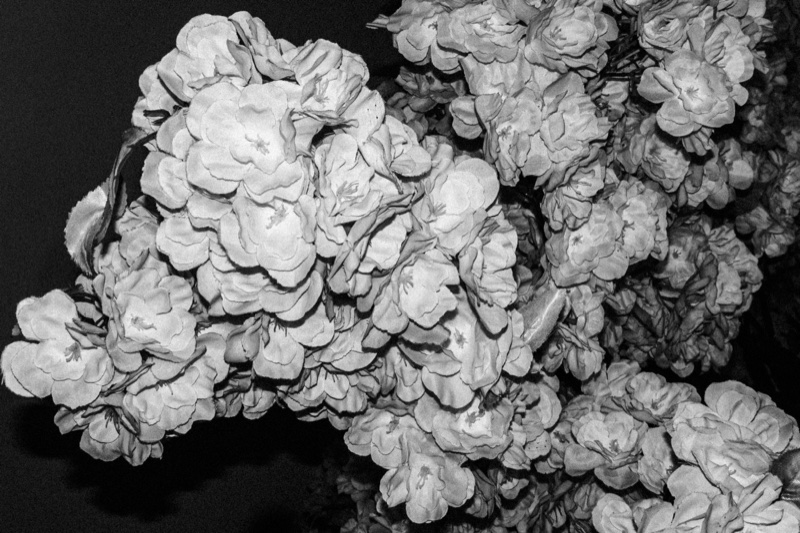 Eclipse – Daniel Huete